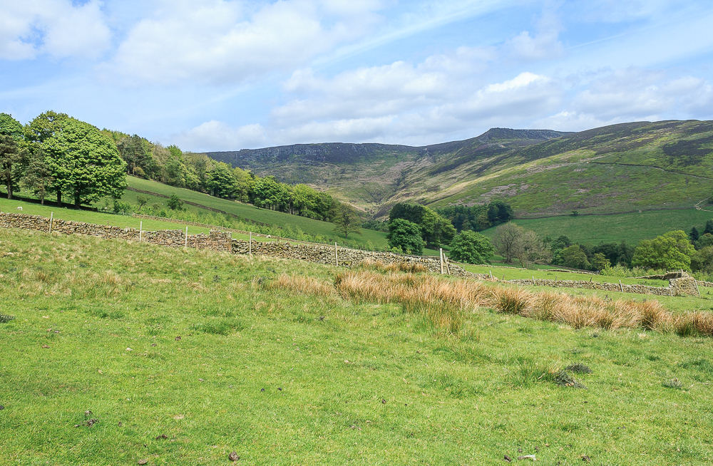 Nether Tor Nether Tor